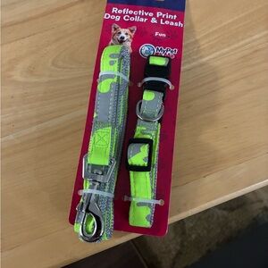 30 Reflective Dog Collars & Leashes - Fabulously Bright Neon